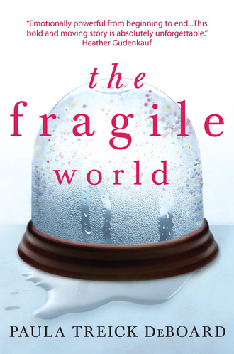 Paula Treick DeBoard. The Fragile World