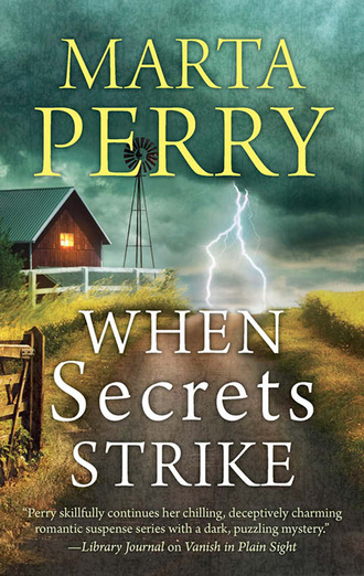 Marta  Perry. When Secrets Strike