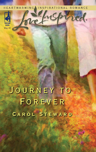 Carol Steward. Journey To Forever