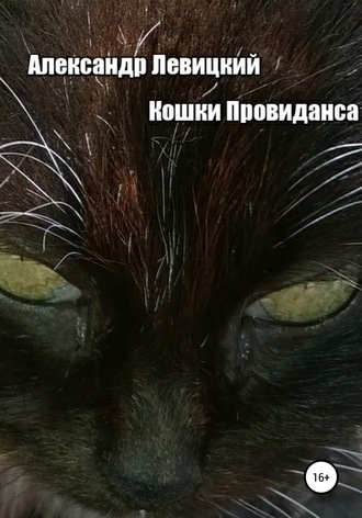 Кошки Провиданса. Александр Левицкий