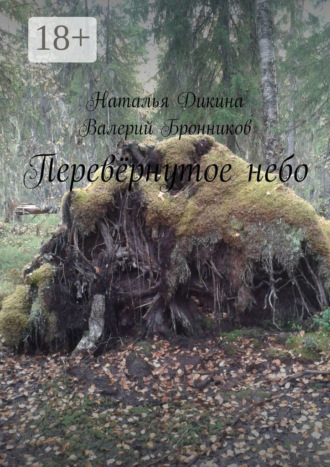 Валерий Бронников. Перевёрнутое небо