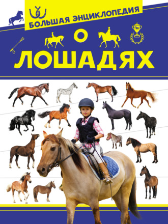 А. А. Спектор. Большая энциклопедия о лошадях
