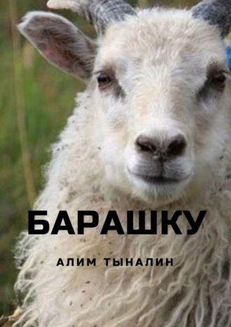 Алим Тыналин. Барашку
