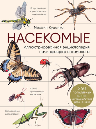 Насекомые. Иллюстрированная энциклопедия начинающего энтомолога (240 популярных видов, которые обитают рядом с нами). Михаил Куценко