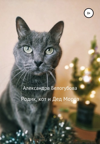 Александра Белогубова. Родик, кот и Дед Мороз