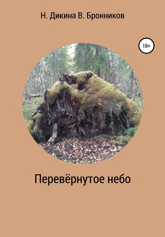 Перевернутое небо. Валерий Бронников