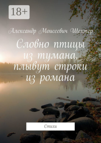 Александр Моисеевич Шехтер. Словно птицы из тумана, плывут строки из романа. Стихи