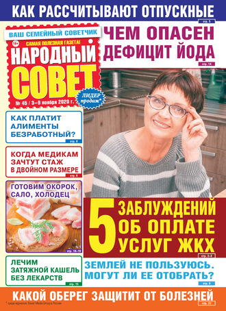 Группа авторов. Народный совет №45/2020