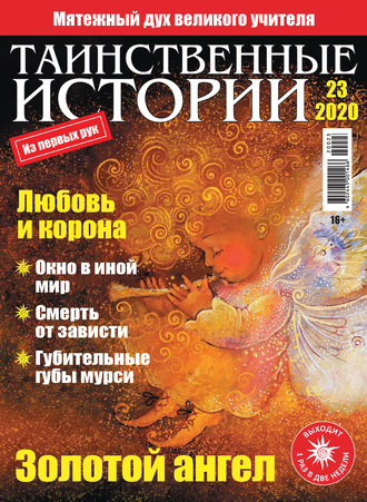 Группа авторов. Таинственные истории №23/2020