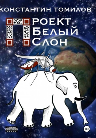 Константин Томилов. Проект 