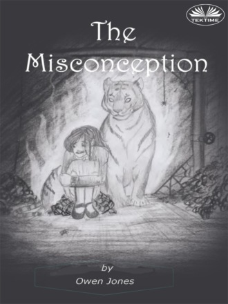 The Misconception. 