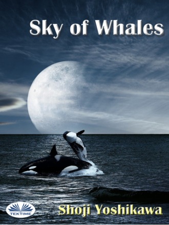 Sky Of Whales. Shoji Yoshikawa