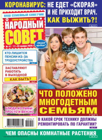 Группа авторов. Народный совет №47/2020