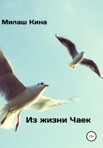 Милаш Кина. Из жизни чаек