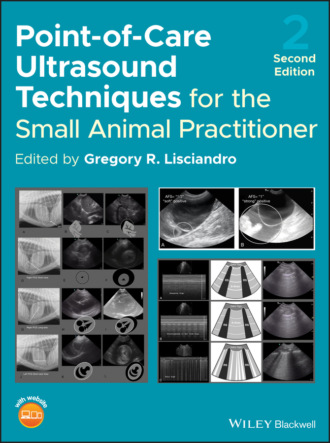 Группа авторов. Point-of-Care Ultrasound Techniques for the Small Animal Practitioner
