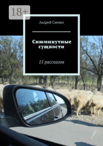 Андрей Саенко. Сиюминутные сущности. 15 рассказов