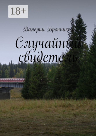 Валерий Бронников. Случайный свидетель