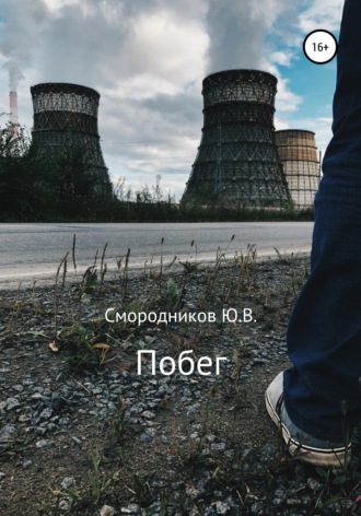 Юрий Владимирович Смородников. Побег