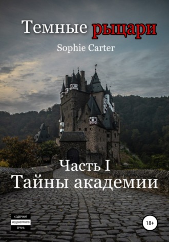 Темные рыцари. Тайны академии. Sophie Carter