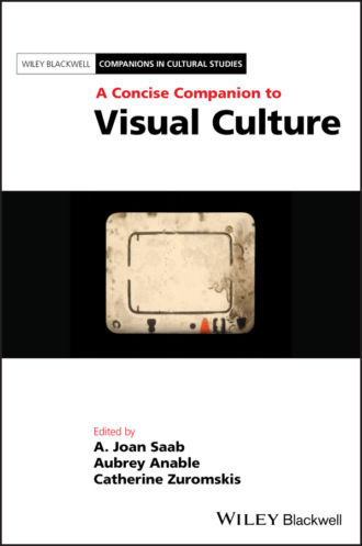 Группа авторов. A Concise Companion to Visual Culture
