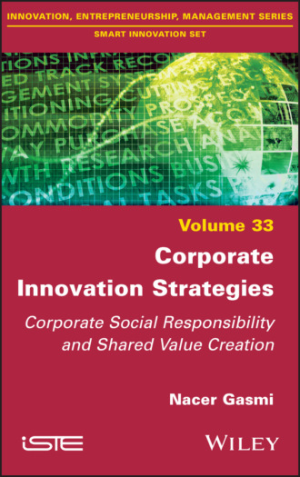 Corporate Innovation Strategies. Nacer Gasmi