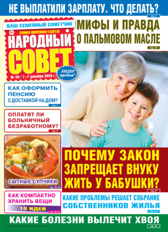 Группа авторов. Народный совет №49/2020
