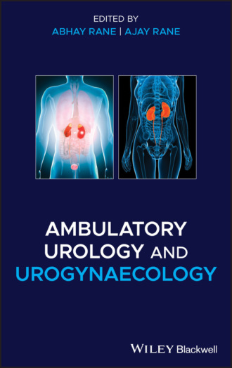 Группа авторов. Ambulatory Urology and Urogynaecology