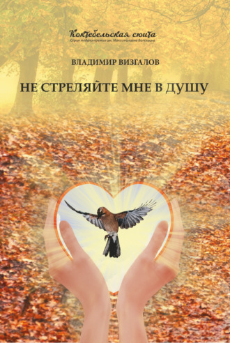 Не стреляйте мне в душу. Владимир Визгалов