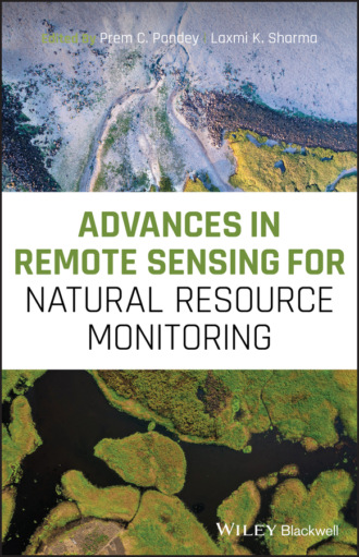 Группа авторов. Advances in Remote Sensing for Natural Resource Monitoring