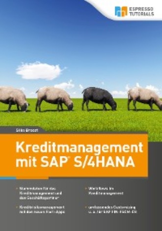 Breest Silke. Kreditmanagement mit SAP S/4HANA