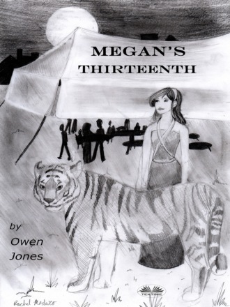 Megan's Thirteenth. Оуэн Джонс