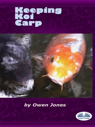 Оуэн Джонс. Keeping Koi Carp
