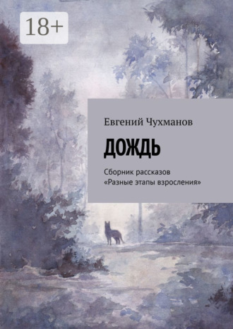 Дождь. Сборник рассказов «Разные этапы взросления». Евгений Чухманов