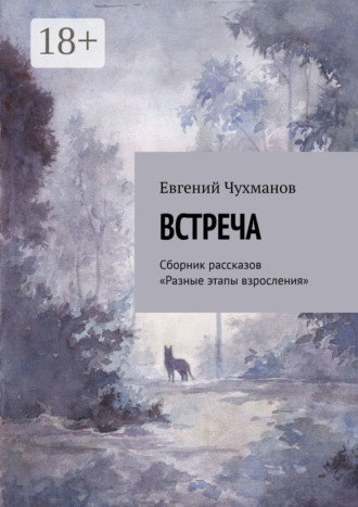 Встреча. Сборник рассказов «Разные этапы взросления». 