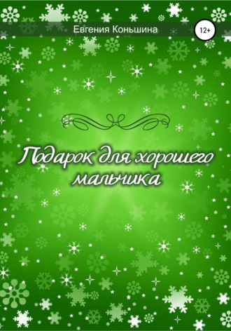 Подарок для хорошего мальчика. Евгения Геннадьевна Коньшина