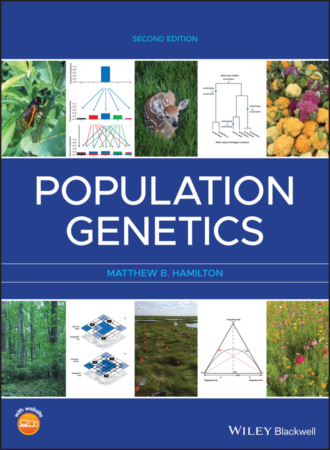 Matthew B. Hamilton. Population Genetics