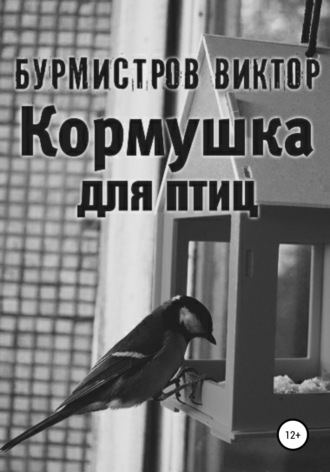 Кормушка для птиц. 