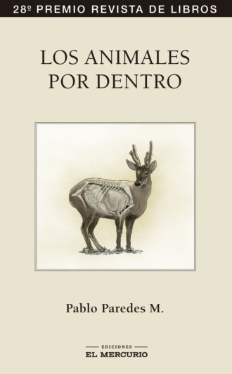 Pablo Paredes M. Los animales por dentro