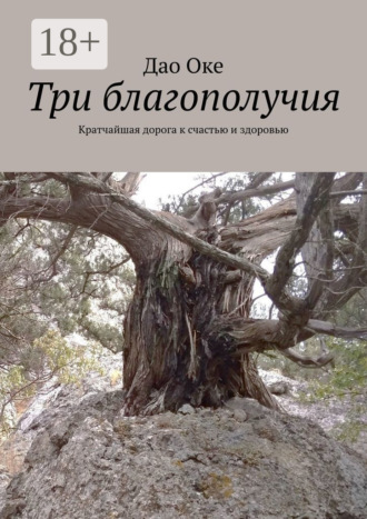 Три благополучия. Кратчайшая дорога к счастью и здоровью. 