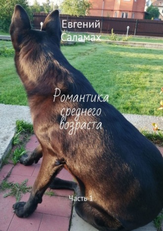 Романтика среднего возраста. Часть 1. Евгений Саламах
