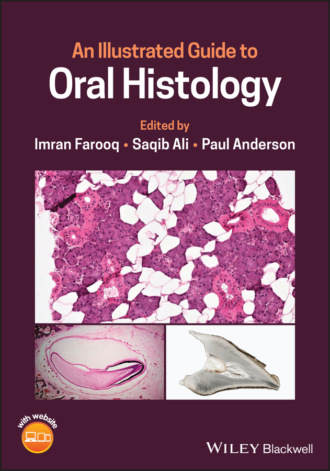 Группа авторов. An Illustrated Guide to Oral Histology