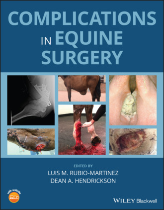 Группа авторов. Complications in Equine Surgery