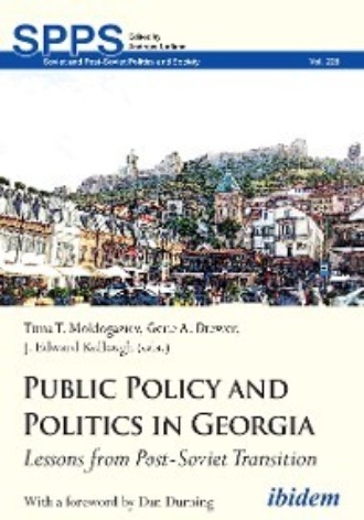 Группа авторов. Public Policy and Politics in Georgia