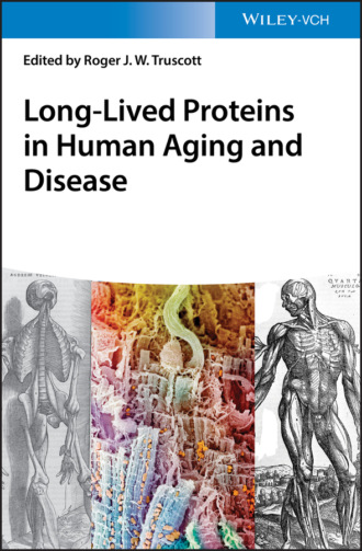 Группа авторов. Long-lived Proteins in Human Aging and Disease