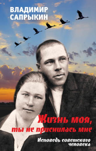 Жизнь моя, ты не приснилась мне. Исповедь советского человека. Владимир Сапрыкин