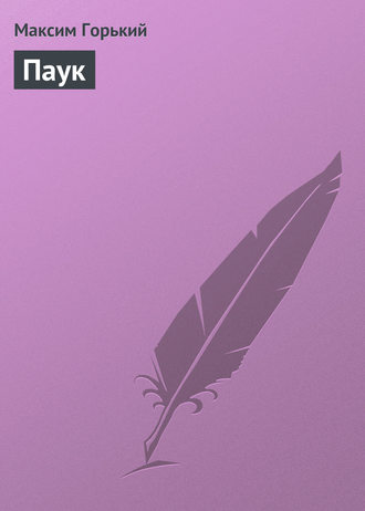 Паук. 