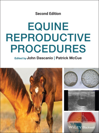 Группа авторов. Equine Reproductive Procedures