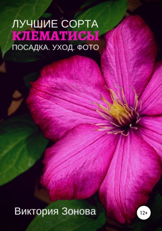 Клематисы. Лучшие сорта. Виктория Зонова