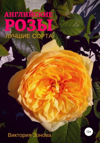 Виктория Зонова. Английские розы. Лучшие сорта