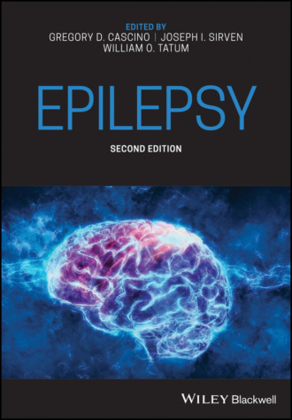 Группа авторов. Epilepsy